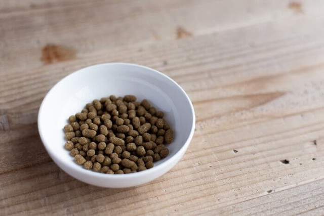 ボウルに入ったLeo&Lea(レオアンドレア)ドッグフード