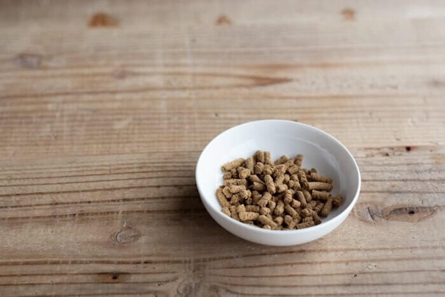 ボウルに入られた犬心元気キープ