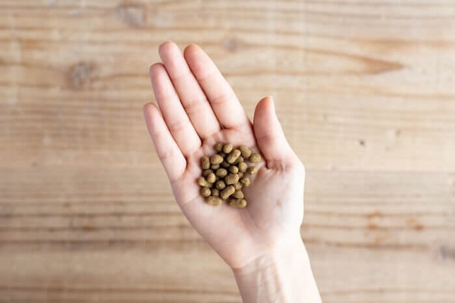 手のひらに乗せられたLeo&Lea(レオアンドレア)ドッグフード