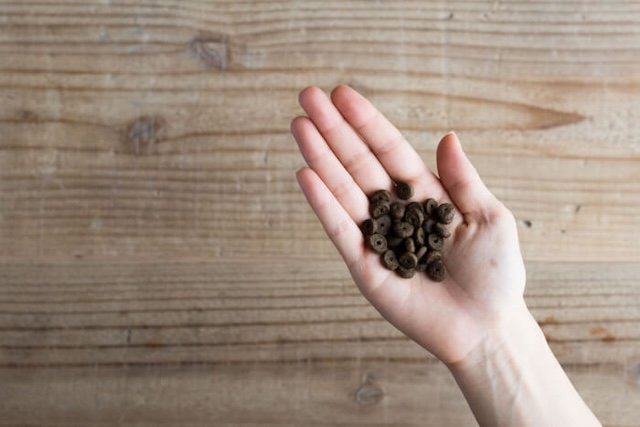 手のひらに乗せられたドッグフード