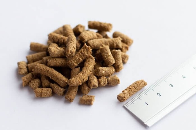 犬心～消化器ケアの粒のサイズ