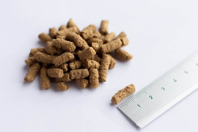 犬心～糖＆脂コントロールの粒のサイズ