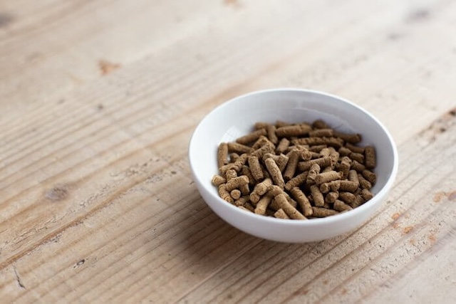 白いボウルに入った犬心～消化器ケア