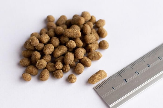 Leo&Leaドッグフードの粒のサイズ