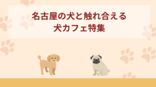 【名古屋】犬と触れ合える犬カフェおすすめ6選！人気・おしゃれなど