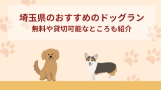 【埼玉】おすすめのドッグラン8選！無料や貸切可能なところも紹介！