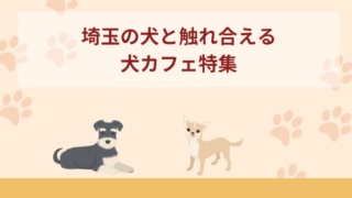 【埼玉】犬と触れ合える犬カフェおすすめ6選！行く前に準備しておきたいことも