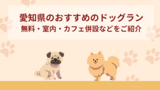 【愛知】おすすめのドッグラン10選！無料・室内・カフェ併設などをご紹介！
