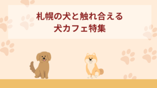 【札幌】犬と触れ合える犬カフェおすすめ6選！行く前に知っておきたいことも