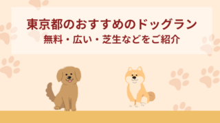 【東京】おすすめのドッグラン10選！無料・広い・芝生などをご紹介！