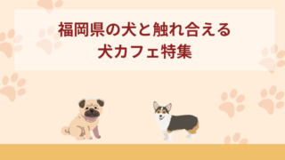 【福岡県】犬と触れ合える犬カフェおすすめ6選！