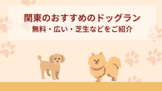 【関東】おすすめのドッグラン10選！無料・広い・天然芝などをご紹介！