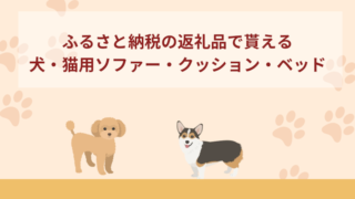 ふるさと納税の返礼品としてもらえる犬・猫用ソファー・クッション・ベッド11選！