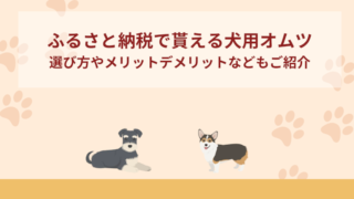 ふるさと納税返礼品で貰える犬用オムツおすすめ3選！選び方やメリットデメリットなどもご紹介
