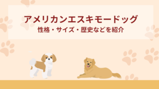 アメリカン・エスキモー・ドッグってどんな犬？性格・サイズ・歴史