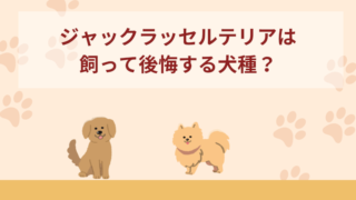 ジャックラッセルテリアは飼って後悔する犬種？手に負えないの？デメリットは？