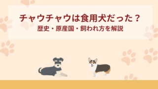 チャウチャウって食用犬だったのは本当？歴史・原産国・飼われ方を解説