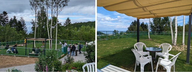 ドッグカフェプチクラブのドッグラン