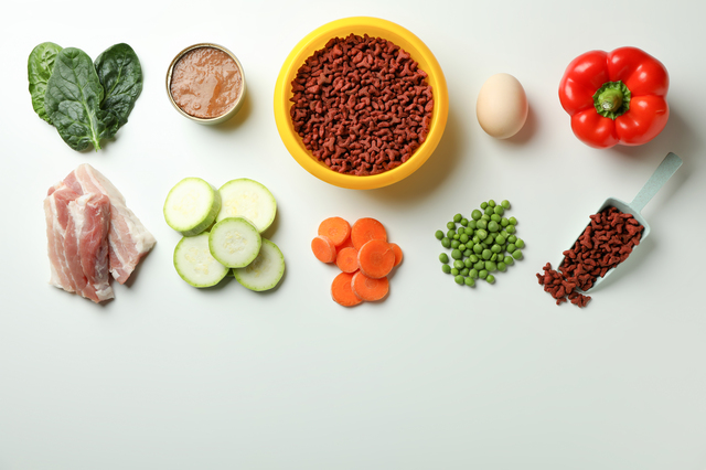 ドッグフードと食材