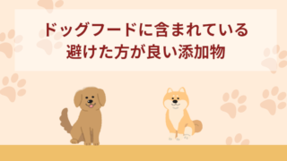 ドッグフードに含まれている避けた方が良い添加物｜含まれている理由も解説