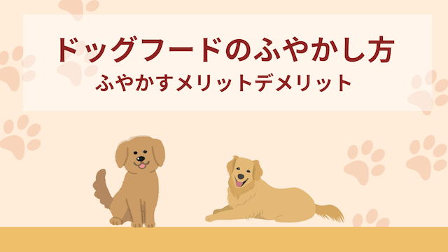 ドッグフードのふやかし方やふやかすメリットデメリットなどを紹介