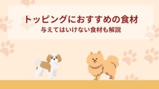 ドッグフードのトッピングにおすすめの食材7選！与えてはいけない食材も解説