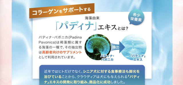 パディナエキス