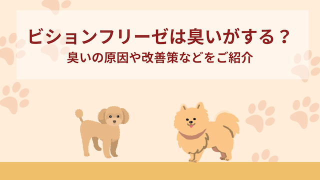 ビションフリーゼは臭いがする？臭いの原因や改善策