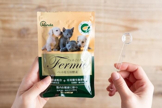 フェルミックに付属しているスプーン