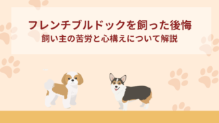 フレンチブルドックを飼って後悔したこと｜飼い主の苦労と心構えについて解説