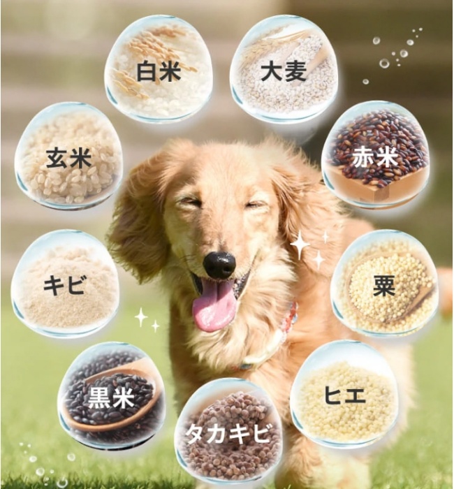 プロテクトワン_9つの穀物