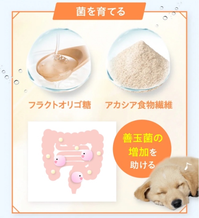 プロテクトワン_フラクトオリゴ糖・アカシア食物繊維