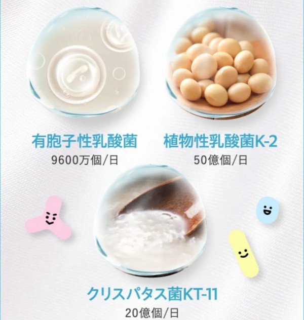 プロテクトワン_腸内フローラ_善玉菌