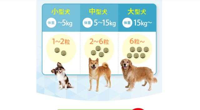 プロテクトワンの1日の目安量