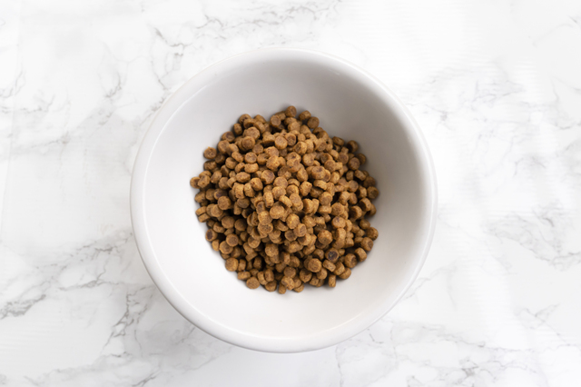ボウルに入られたドッグフード