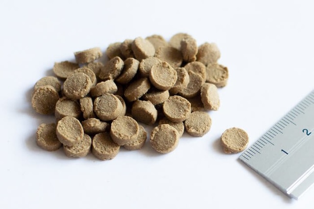 リブドッグの粒のサイズ