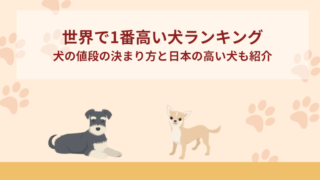 世界で1番高い犬ランキングトップ10！犬の値段の決まり方と日本の高い犬も紹介