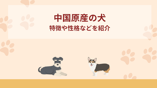 中国原産の犬12選！特徴や性格などをご紹介！