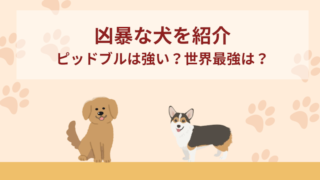 凶暴な犬15頭！ピッドブルは強い？世界最強は？日本で警戒されている犬種紹介