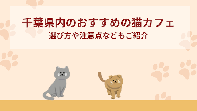 千葉県内のおすすめ猫カフェ5選！選ぶときのポイントや注意点