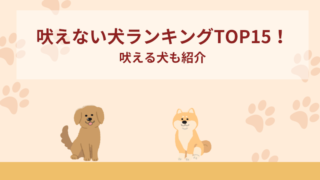 吠えない犬ランキングTOP15！吠える犬も紹介