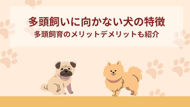 多頭飼いに向かない犬の特徴6選！多頭飼育のメリットデメリットもご紹介