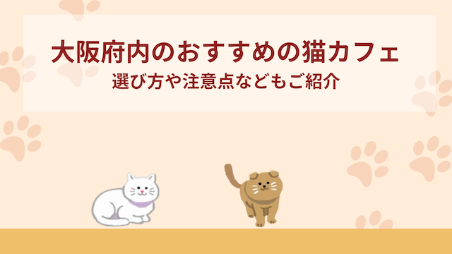 大阪府内のおすすめの猫カフェ6選！選び方や注意点などもご紹介