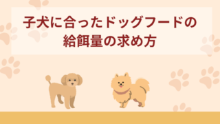 子犬に合ったドッグフードの給餌量の求め方！与える際の注意点を解説