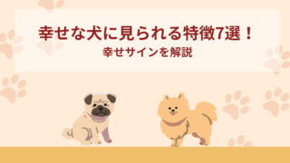 幸せな犬に見られる特徴7選！幸せサインを解説
