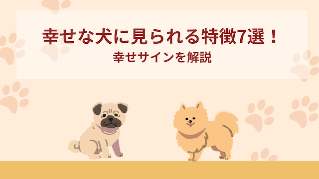 幸せな犬に見られる特徴7選！幸せサインを解説