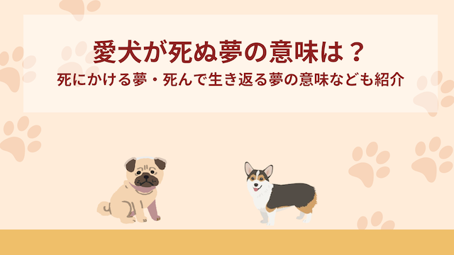 愛犬が死ぬ夢・死にかける夢・死んで生き返る夢の意味