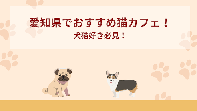 愛知県でおすすめ猫カフェ5選！犬猫好き必見！