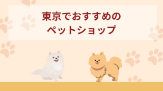 東京でおすすめのペットショップ10選！選ぶときのポイントも紹介！