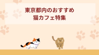 東京都内のおすすめ猫カフェ7選！【犬猫好き必見特集】